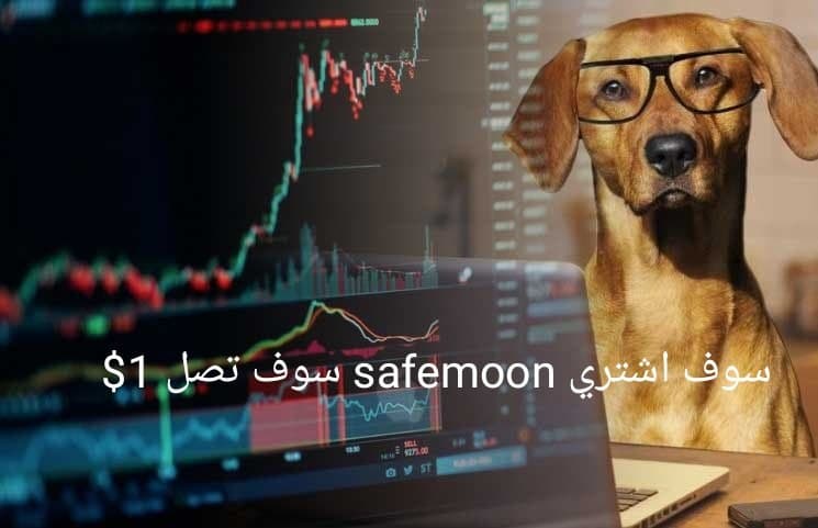 مشروع عملة safemoon سيفمون والسعر الان وهل تعتبر عملة نصب بعد ارتفاعها 100 ضعف؟