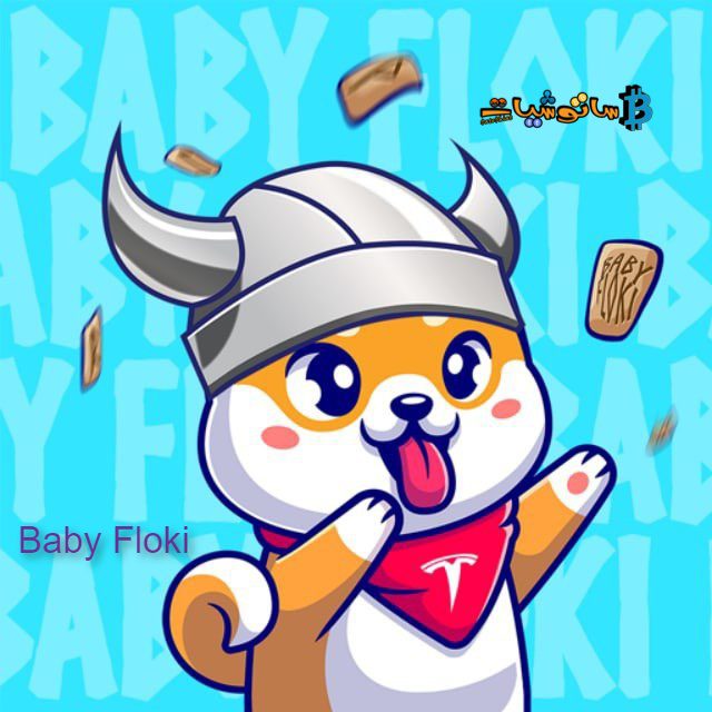 بيبي فلوكي (Baby Floki) عملة إيلون ماسك الجديدة