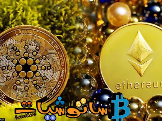 10 حقائق عن عملة كاردانو لا تعرفها 2 عملة كاردانو Cardano