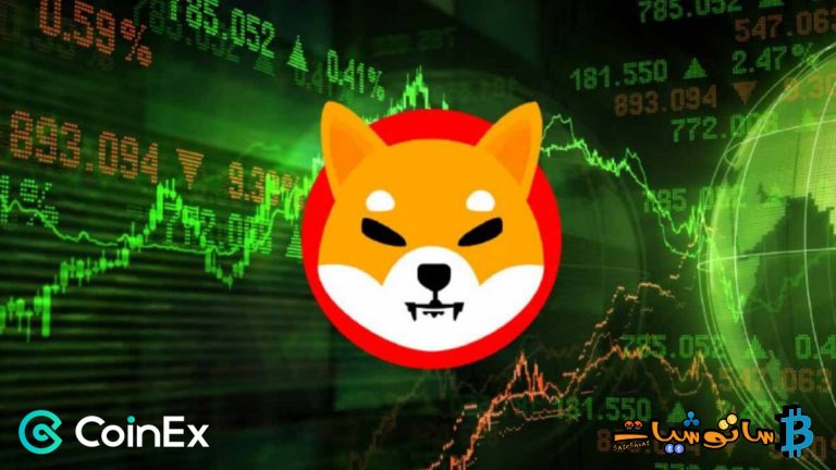 كيف نمت عملة Shiba بمقدار 50 مليون مرة على الرغم من أنها شيت كوين؟