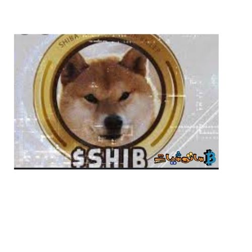 شيبا اينو : ارتفاع حجم تداول العقود الآجلة في Shiba بمقدار 78× ومكاسب بنسبة 330% خلال اسبوع