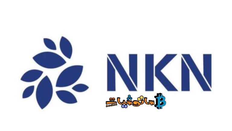 عملة NKN الرقمية ومشروعها