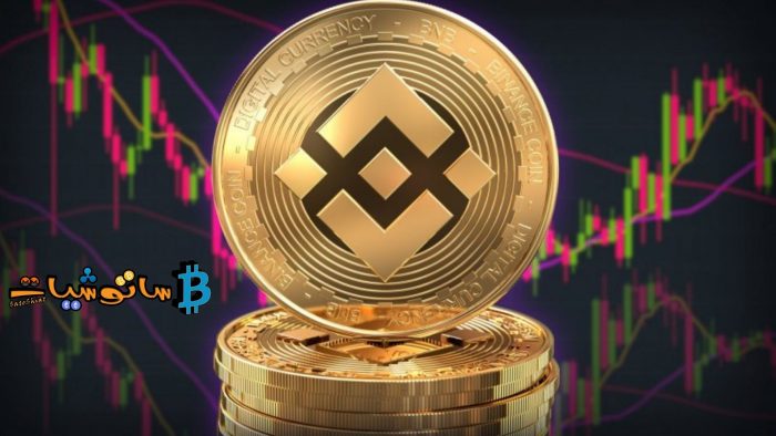 10 حقائق عن عملة بينانس لا تعرفها 2 مشروع عملة بينانس (Binance)