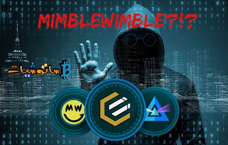 ما هو Mimblewimble الداعم لخصوصية معاملات البلوكتشين