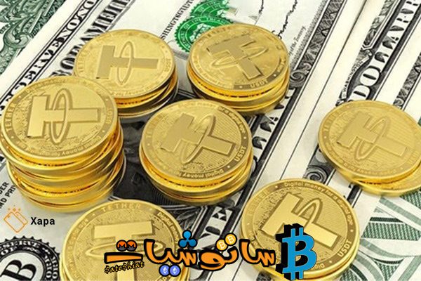 10 حقائق عن عملة تيثر (Tether) لا تعرفها 2 عملة تيثر (Teather)