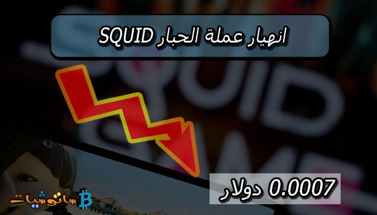 انهيار عملة الحبار SQUID الى 0.0007 دولار خلال خمس دقائق