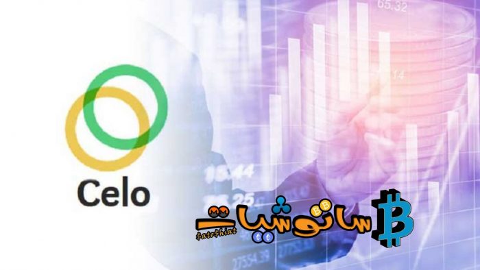 10 حقائق عن عملة سيلو (Celo) لا تعرفها 5 مشروع عملة سيلو (Celo)