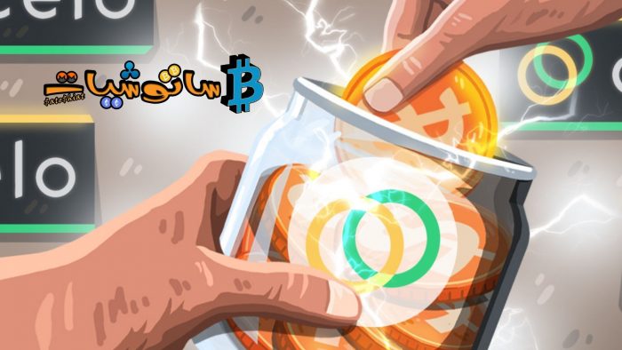 10 حقائق عن عملة سيلو (Celo) لا تعرفها 2 مشروع عملة سيلو (Celo)