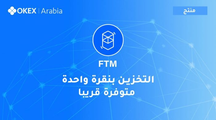 شرح مشروع عملة Fantom برمزه FTM وكيفية تخزينها على منصة OKEx