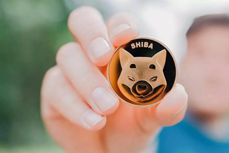 تعلن شركة Shiba Inu عن الإصدار التجريبي من منصة التصويت DOGGY DAO
