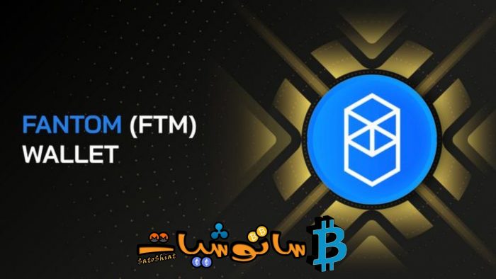 10 حقائق عن عملة فانتوم (Fantom) لا تعرفها 3 محفظة فانتوم (Fantom Wallet)