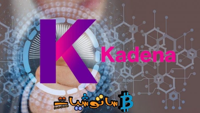 10 حقائق عن عملة كادينا (KDA) لا تعرفها 6 ألية شراء عملة (KDA)