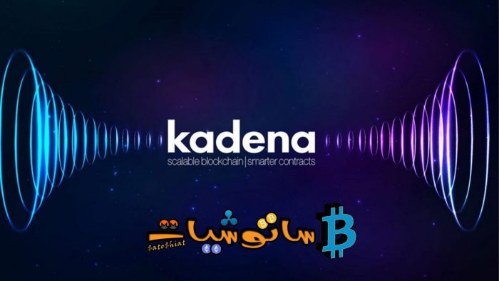 10 حقائق عن عملة كادينا (KDA) لا تعرفها 5 قابلية التوسع لنظام عملة (KDA)
