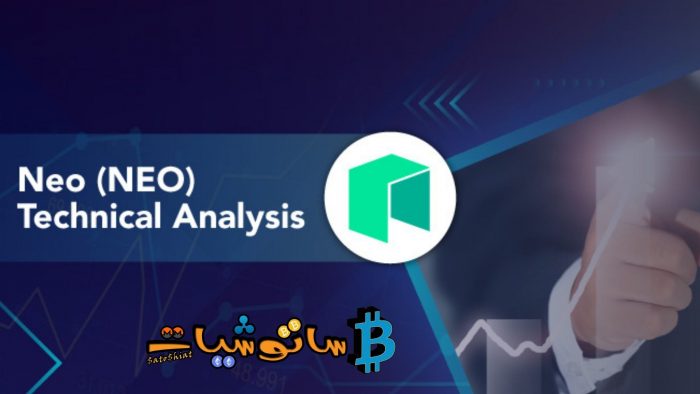 تعدد لغات البرمجة في مشروع عملة نيو (Neo)