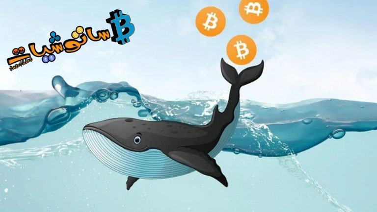 “وقف البيع بذعر” – توفر حقيبة حيتان البيتكوين BTC مع انخفاض أرصدة الصرف