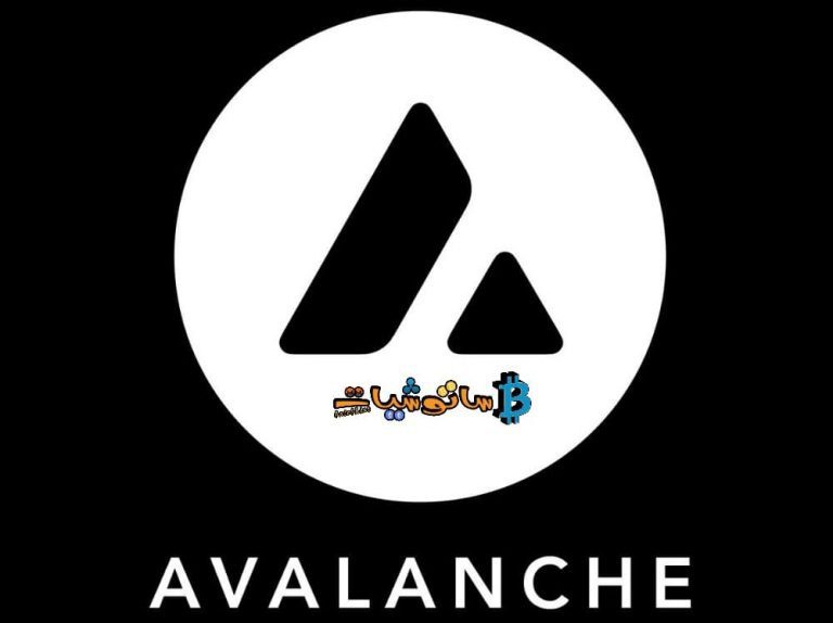 تطلق Avalanche أفالانش برنامج حوافز بقيمة 290 مليون دولار لتسريع نمو الشبكات الفرعية