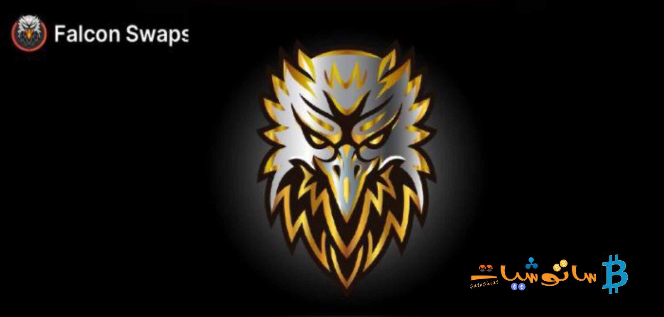 شرح مشروع عملة Falcon Swaps برمزها FALCONS وتوقعات أسعارها حتى عام 2031