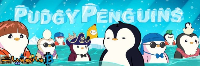 تعرف إلى مجموعة NFT الجديدة Pudgy Penguins التي ستنافس CryptoPunks و BAYC