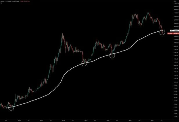 ارتفاع عملة البيتكوين إلى 21.8 ألف دولار، والمحللون يتوقعون بأنها خطوة وهمية