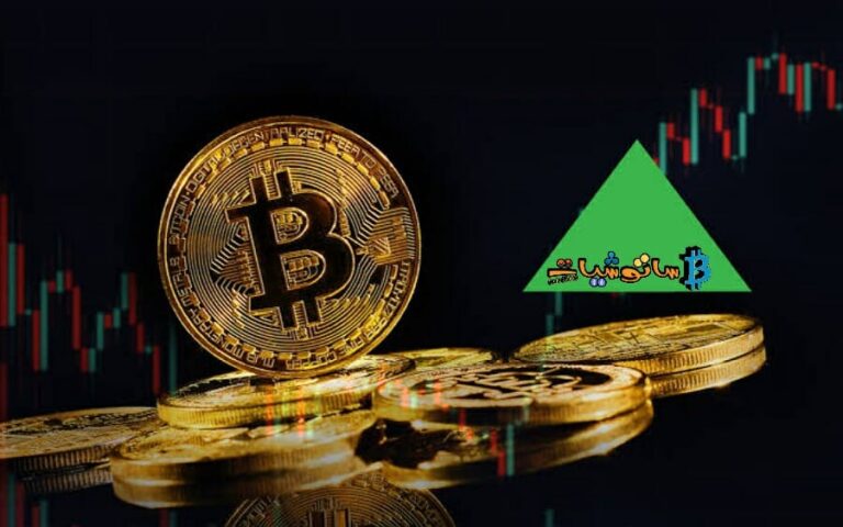 انخفاض هيمنة سوق عملة البيتكوين إلى أدنى مستوى لها وصل خلال 4 سنوات