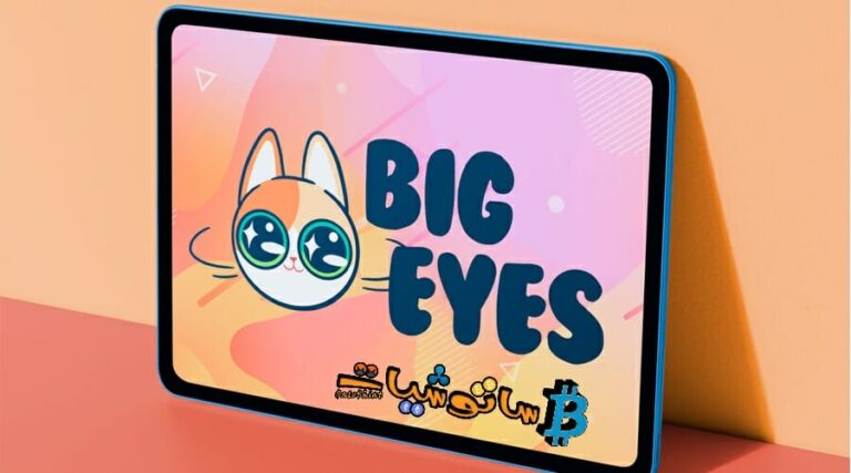 شرح مشروع عملة Big Eyes – المنافسة لعملات الكلاب