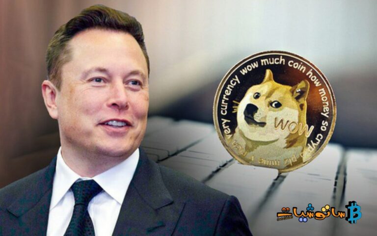 شركة Tesla تطلق سلسلة Cyberwhistle الجديدة التي لا يمكن شراؤها إلا باستخدام Dogecoin