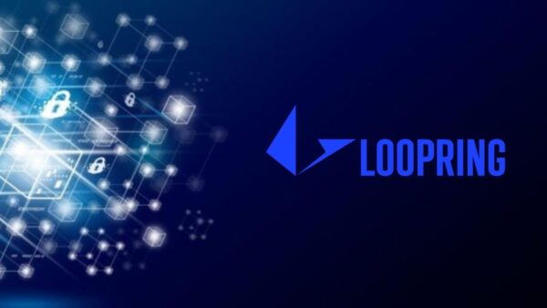 أفضل 5 عملات ZK rollup "عملات الخصوصية" لعام 2023